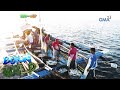 Born to be Wild: Lawlaw fishing in Bulan, Sorsogon