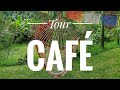 ¡Viaje a Coatepec! Haciendas Cafetaleras, Cata Sensorial de Café y el Santuario del Bosque de Niebla
