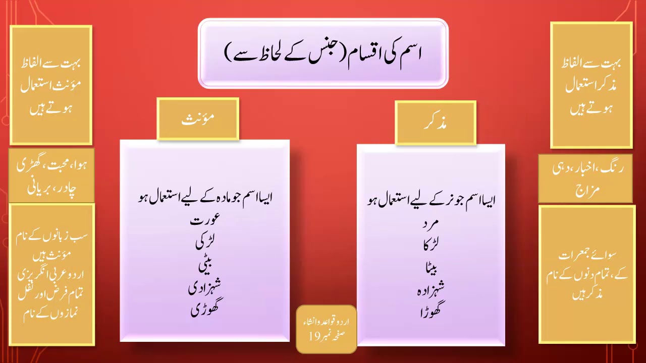 urdu grade 4 lesson5 youtube