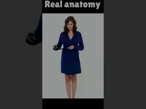 Real Women Anatomy Video Shorts