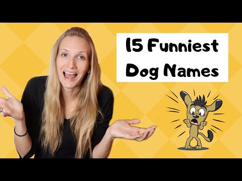 Video: Provjerite neke od najzabavnijih, najkreativnijih psećih imena tamo