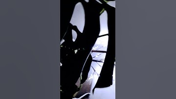 tiny Christmas tree transition video (day to night) #shorts #transition