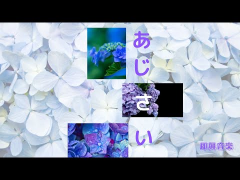 【即興音楽】あじさい 即興ピアノ