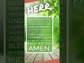Lass diesen Monat los… 🕊️ (30 Sek. Gebet für Frieden &amp; Neuanfang)