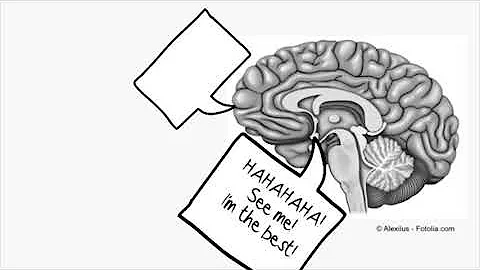 Teenage Brain and Risk Taking Activities