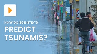 Predicting Tsunamis: Scientist’s Research and Tools | Science | ClickView