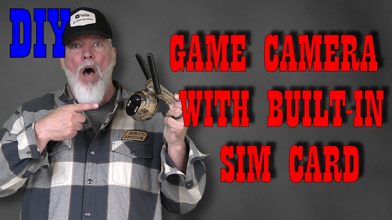 Night Shadows Revealed: What's Roaming Your Yard?