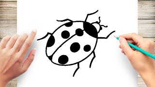 ladybug easy draw