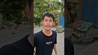 umi ada suara sapi di rumah kucing #trandingshorts