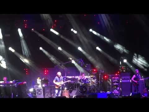 PHISH : Wingsuit