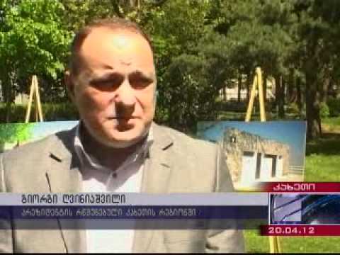 გიორგი ღვინიაშვილი