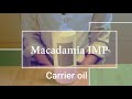 【キャリアオイル】人の皮脂成分に近いマカデミアナッツオイル / マッサージオイルレビュー