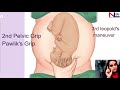 Leopold's Maneuvers | Obstetric Grips | Abdominal Palpation | Nursing Lecture