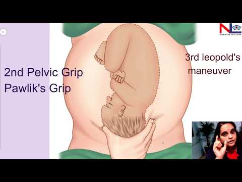 Leopold&rsquo;s Maneuvers | Obstetric Grips | Abdominal Palpation | Nursing Lecture
