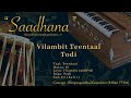 Vilambit Teentaal Lehra | Raag Todi | 50bpm | Live Harmonium | 108 Cycles | Saadhana Mp3 Song