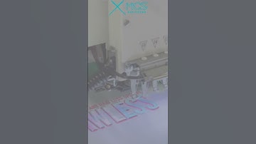 MCS Digitizing | How to digitize a logo | How to digitize a difficult design | wilcome E2