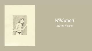 Keaton Henson - Wildwood (lyrics/subtitulado en español)