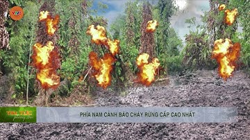 PHÍA NAM CẢNH BÁO CHÁY RỪNG CẤP CAO NHẤT | VTV5