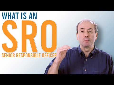 What is a Senior Responsible Owner - SRO? PM in Under 5 thumbnail