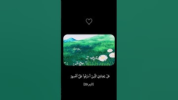 💫 📖✨ لَا تَقۡنَطُواْ مِن رَّحۡمَةِ ٱللَّهِۚ  للقارئ محمد اللحيدان #تلاوة_هادئة #quran #لايك #اكسبلور