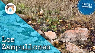 Los ZAMPULLONES 💧 Nacimiento del Guadiana