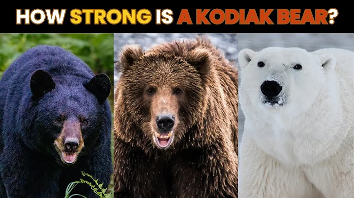 How Strong Is a KODIAK BEAR Compared to Other Bears