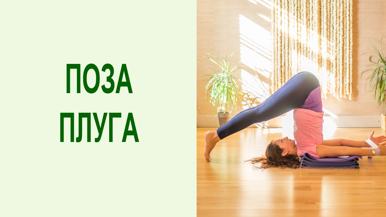 Перевернутые позы в йоге: поза плуга. Балансовые асаны йоги для здоровья позвоночника. Yogalife