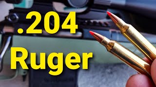 .204 Ruger Shoots SO FLAT!!!