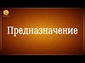 Предназначение человека. В чем смысл жизни?