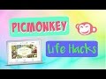 Picmonkey Life Hacks