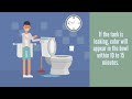 How to check for silent leaks in the toilet