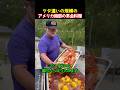 ケタ違いの規模のアメリカ南部の宴会料理