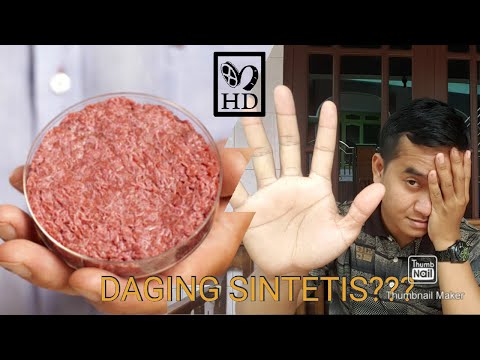 Video: Daging Buatan Akan Menjadikan Dunia Kita Terbalik - Pandangan Alternatif