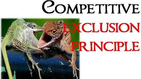 Competitive exclusion principle