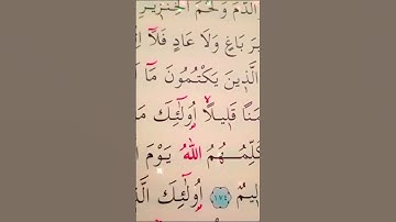 سورة البقرة الأية 174 القارئ مشاري راشد العفاسي