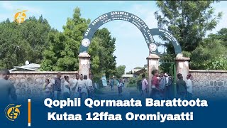 Qophii Qormaata Barattoota Kutaa 12ffaa Oromiyaatti screenshot 5