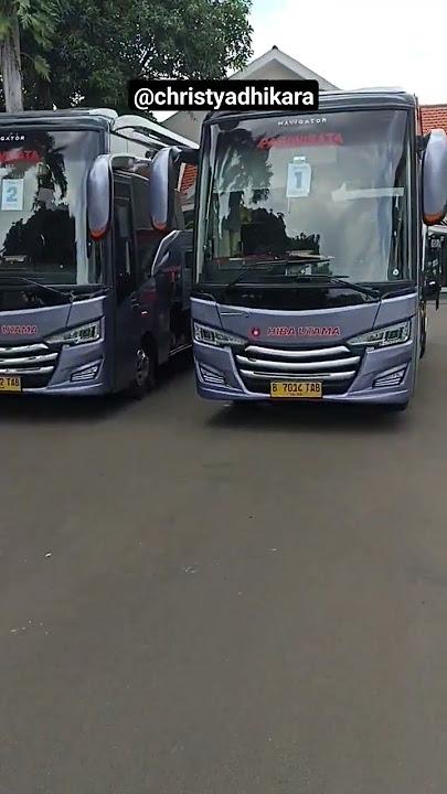 MEDIUM BUS BY KAROSERI TENTREM. SUKA SAMA DESAINNYA.. KEREENN #youtube #shorts #bismania #hibautama