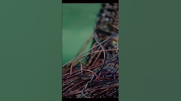 Modular Performance #techno #music #minimal #live #edm #eurorack #modular #electronicmusic