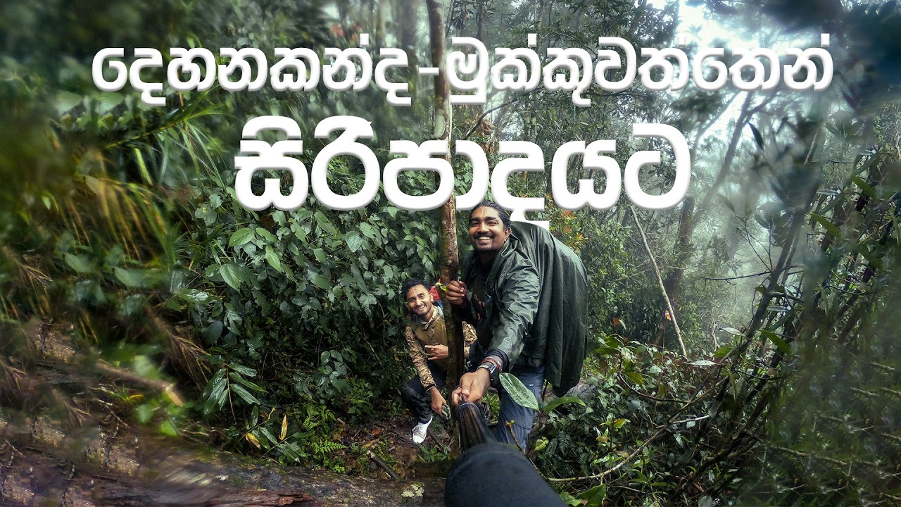 දෙහනකන්ද මුක්කුවත්තෙන් සිරීපාදයට | Dehanakanda - Mukkuwaththa trail