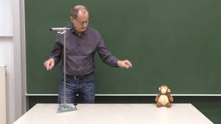 Tag 9: Wie man einen klugen Affen mit einem Wurfpfeil treffen kann  | Universität Bremen