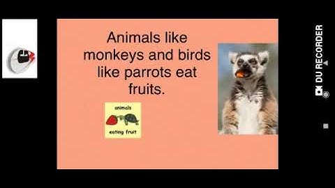 Grade 1 Evs Dated 16 08 2021