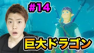 【ゼルダの伝説】巨大ドラゴンが出た！飛ばしてたチャレンジをやっていくよ！#14