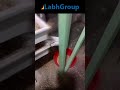 Video Image