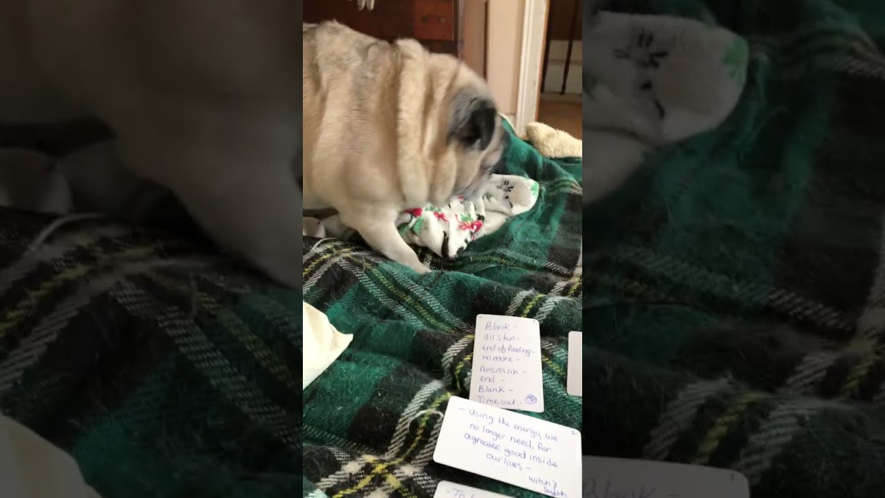 Message from your spirit guide- Wabi-Sabi