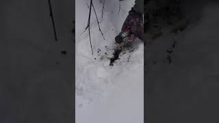 How to soften scat with Dan Gardoqui.