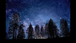 Meditace a transformace - Zvuky přírody v noci při spánku - cvrčci