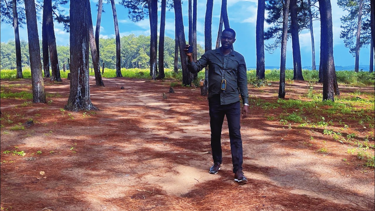 Ferme LOUK  2  Agriculture , Pisciculture et élevage au Kongo central