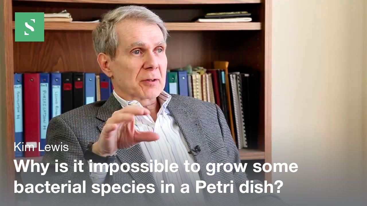 Uncultured Bacteria - Kim Lewis