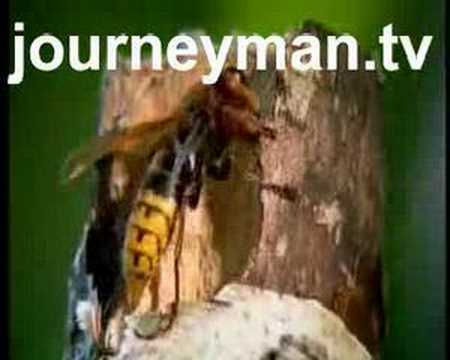 Nature Tech: The Material World - Trailer