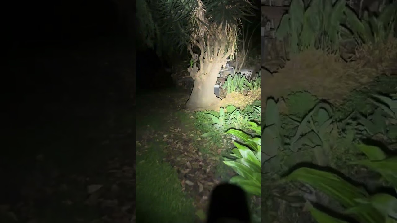 OFF MARKET FULLERTON WALKTHROUGH VIDEOS